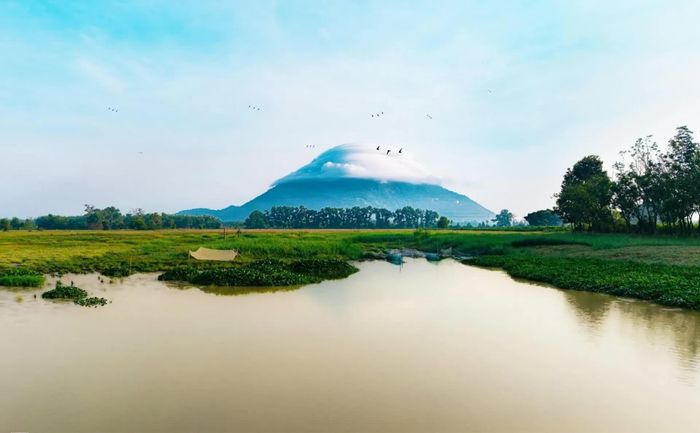 Dáng núi Bà Đen đứng độc tôn giữa đồng bằng Tây Ninh xanh ngát, nổi bật với đĩa mây trắng mờ ảo vờn quanh đỉnh. Ảnh: Trương Anh Tuấn