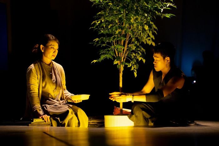 Tác phẩm do Nhà hát kịch Sân khấu Nhỏ sản xuất và tổ chức biểu diễn, Hội Sân khấu TPHCM chỉ đạo nghệ thuật