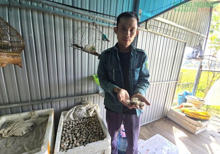 Anh Luyến luôn chú trọng chất lượng con giống, kiểm soát môi trường ao nuôi luôn đảm bảo.