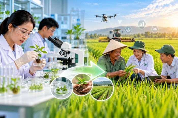 Nghiên cứu công nghệ sinh học kết hợp nông nghiệp thông minh, hướng đến phát triển nông nghiệp bền vững.