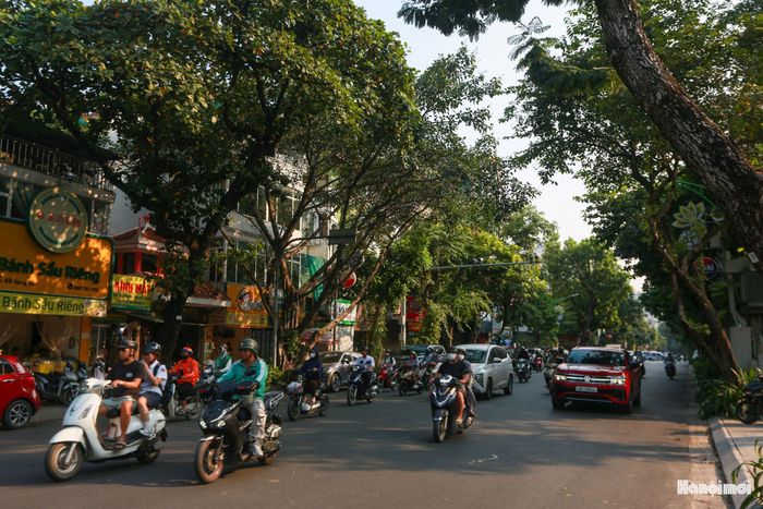 Cánh quân phía Nam xuất phát từ Việt Nam học xá tiến qua Bạch Mai, phố Huế, vòng quanh hồ Gươm rồi vòng lại chiếm lĩnh toàn bộ khu vực Đồn Thủy và Đấu Xảo. Đoàn cơ giới và pháo binh xuất phát từ Bạch Mai, qua phố Bạch Mai, phố Huế, 10h5 đến Bờ Hồ, qua Hàng Đào, Hàng Ngang, chợ Đồng Xuân, rẽ sang đường Cửa Bắc tiến vào thành lúc 10h45. Ảnh chụp tuyến phố Hàng Bài - Phố Huế ngày nay là một trong những tuyến đường giao thông nhộn nhịp trung tâm Thủ đô.