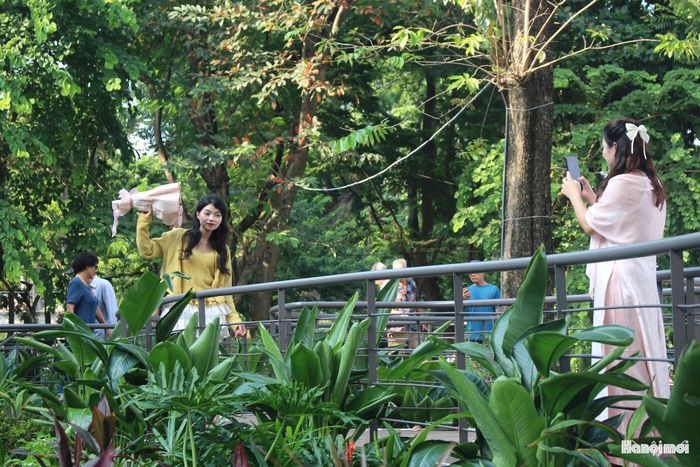 Không gian nghệ thuật thu hút đông đảo bạn trẻ. Ảnh: Vi Giáng