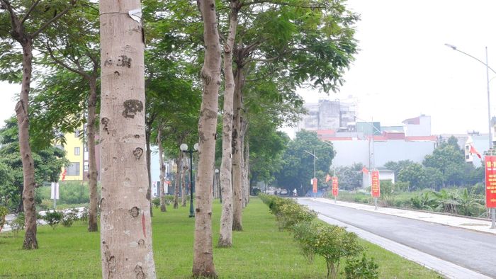 Tuyến đường tự quản tại tổ dân phố Vinh Quang. Ảnh: Đỗ Duẩn
