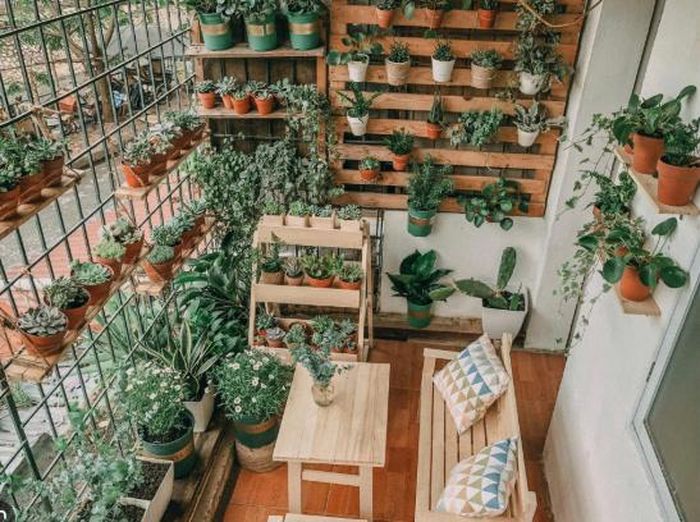Một số người thích đặt xương rồng hoặc sen đá ở ban công, không chỉ vì dễ chăm mà còn giúp hấp thụ bức xạ, đặc biệt hữu ích nếu gần các thiết bị điện tử hoặc hướng nắng gắt.