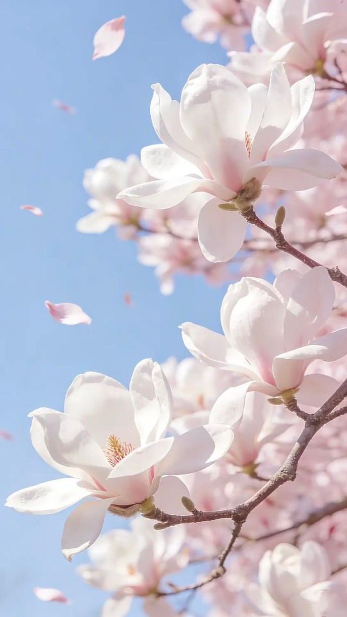 Khi trưởng thành, trẻ sinh vào khung giờ Âm lịch có sự nghiệp ổn định, biết chăm lo cho gia đình và có ý thức báo hiếu cha mẹ. Ảnh minh họa