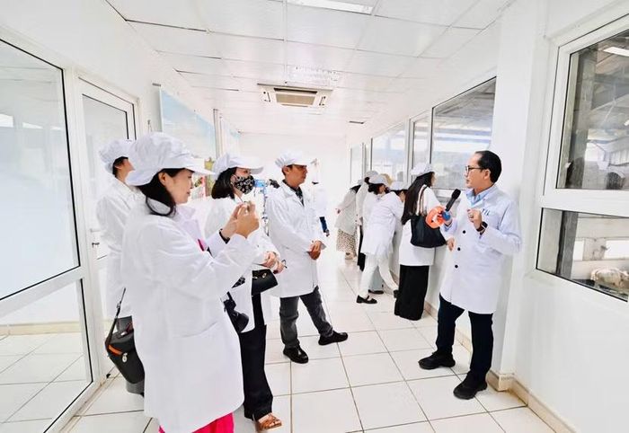 Một buổi sinh hoạt chuyên đề về “Dinh dưỡng học đường và giải pháp chuẩn hóa bữa ăn học đường” diễn ra tại Cụm trang trại của Tập đoàn TH