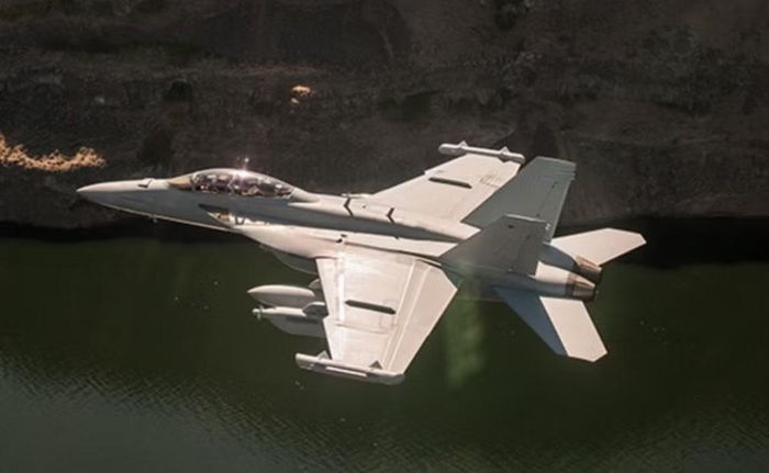 EA-18G Growler có khả năng mang AGM-88 HARM, biến dữ liệu thu được từ hệ thống tác chiến điện tử thành thông tin phục vụ đòn đánh trực tiếp vào radar đối phương.