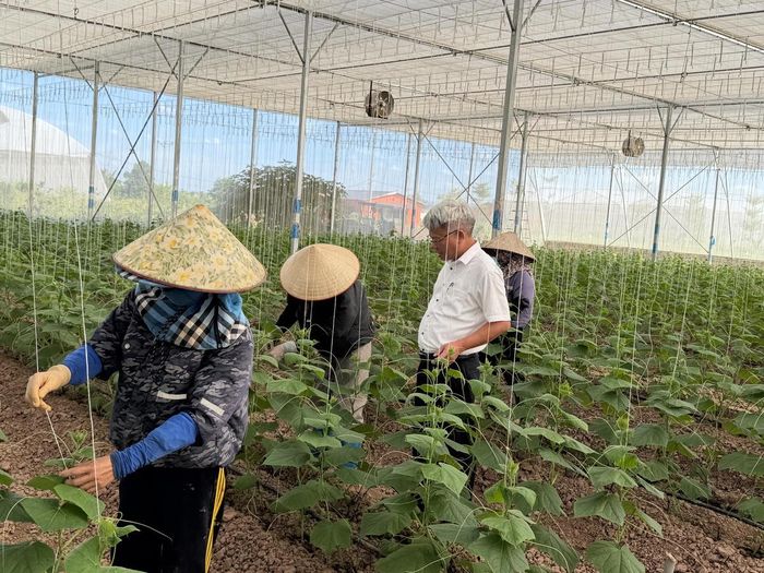 Mô hình nông nghiệp xanh công nghệ cao tại xã Hồng Sơn.