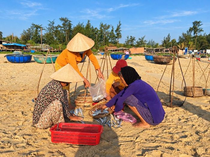 Những người phụ nữ trao đổi, lựa chọn hải sản trong phiên chợ ngay trên bãi cát