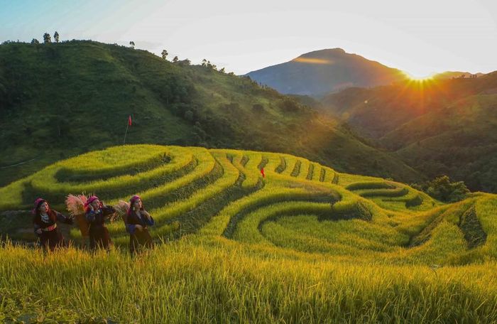 Vẻ đẹp ruộng bậc thang Pu Nhi trong ánh nắng hoàng hôn. Ảnh: Xuân Tư - TTXVN