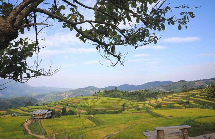 Khung cảnh ruộng bậc thang trở thành điểm dừng chân để du khách chụp ảnh, lưu giữ những kỷ niệm trong hành trình khám phá Pu Nhi. Ảnh: Xuân Tư - TTXVN