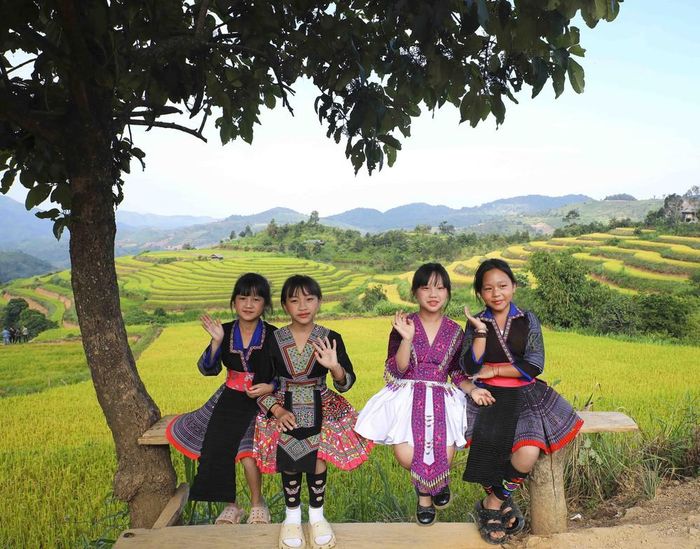 Những em bé dân tộc Mông vùng cao Pu Nhi giữa cánh đồng ruộng bậc thang. Ảnh: Xuân Tư - TTXVN