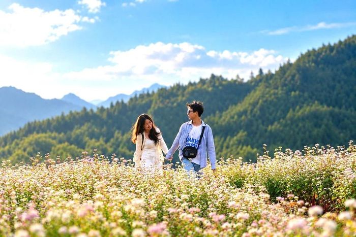 Du khách trải nghiệm mùa tam giác mạch. Ảnh: Minh Tâm-TTXVN