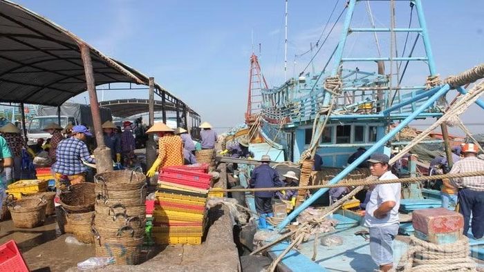 Tỉnh Vĩnh Long tập trung công tác chống khai thác IUU. (Ảnh: HOÀNG TRUNG)