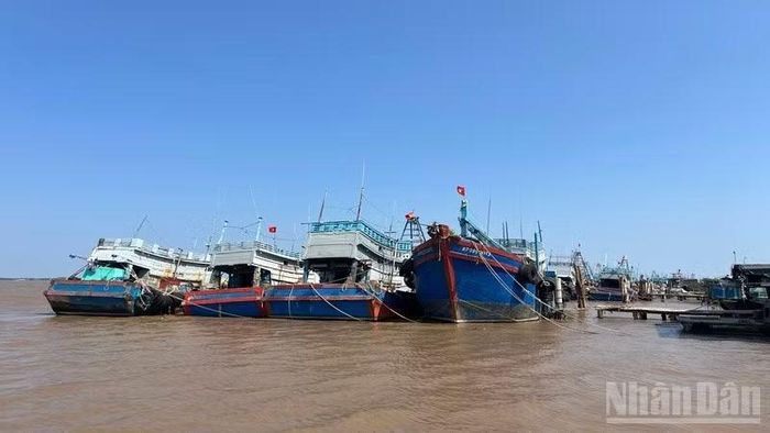 Thanh tra tỉnh Vĩnh Long chỉ ra những hạn chế trong công tác quản lý, xử lý vi phạm khai thác IUU. (Ảnh: HOÀNG TRUNG)