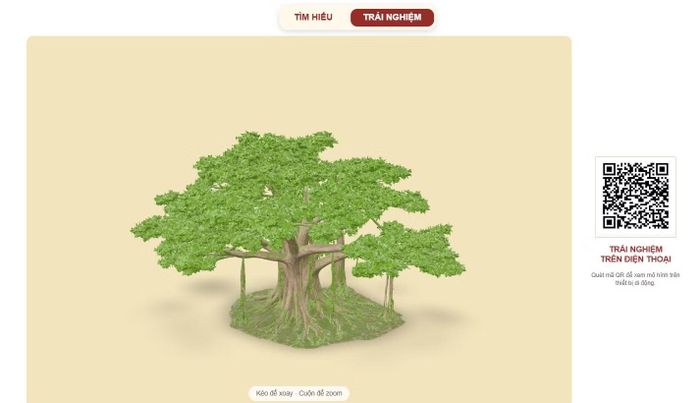 Cây đa cổ thụ tại khuôn viên Báo Nhân Dân, bóng mát lịch sử gắn liền với không gian Bờ Hồ.