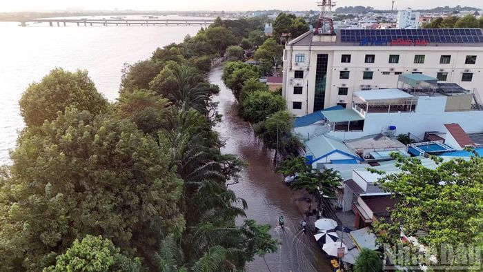 Tuyến đường Nguyễn Văn Trị nằm sát sông Đồng Nai ngập do triều cường sông Đồng Nai dâng cao chiều 10/10.