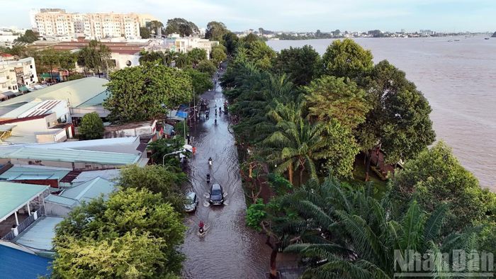 Mức nước tại trạm Biên Hòa trên sông Đồng Nai chiều 10/10 lên 2,20m, đạt báo động 3 và cao hơn đỉnh triều ghi nhận năm 2000 khoảng 1cm.