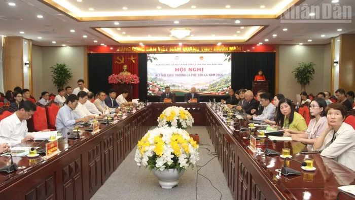 Hội nghị kết nối giao thương cà-phê Sơn La năm 2026. (Ảnh: QUỐC TUẤN)
