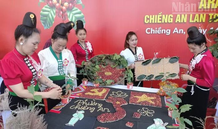 Thời gian qua, tỉnh Sơn La đã tổ chức rất nhiều các hoạt động xúc tiến thương mại tại tỉnh và ngoài tỉnh để giới thiệu, quảng bá sản phẩm cà-phê Arabica Sơn La. (Ảnh: QUỐC TUẤN)