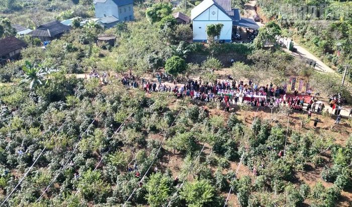 Tỉnh Sơn La hiện có 1.120ha cà-phê đặc sản, hơn 35.000ha có chứng nhận bền vững. (Ảnh: QUỐC TUẤN)