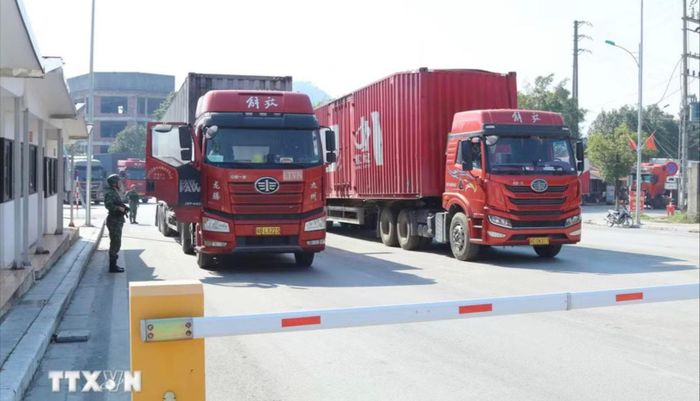 Phương tiện chở hàng xuất nhập khẩu qua cửa khẩu Hữu Nghị (Lạng Sơn). Ảnh: TTXVN