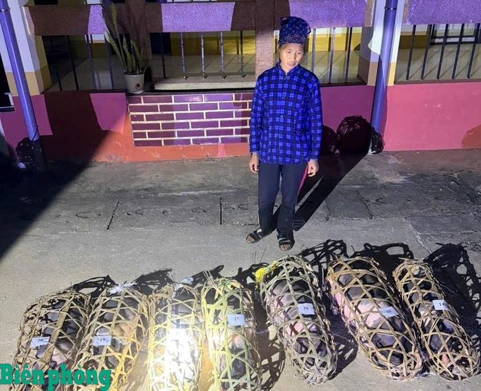 Triệu Thị Dung cùng tang vật bị bắt giữ tại Đồn Biên phòng cửa khẩu quốc tế Trà Lĩnh. Ảnh: Huy Dương