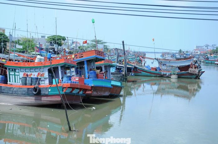Khu neo đậu tàu ở Cảng cá Định An, tỉnh Vĩnh Long.