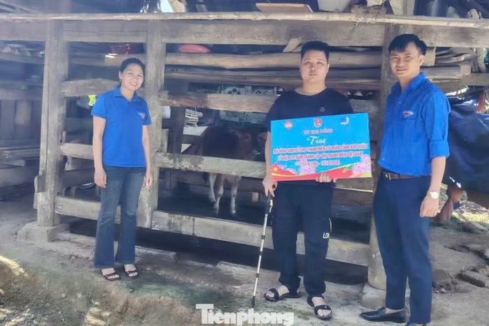 Anh Lê Văn Lợi bên con bò giống được hỗ trợ.