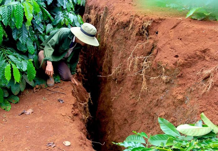 Thống kê ban đầu của xã Đức Cơ xác định, nhiều hộ dân có diện tích đất dọc theo suối ở thôn Chư Ty 4 bị khu vực đất cạnh bờ suối bị nứt nghiêm trọng, sụt hạ cục bộ và đang bị sạt, trượt.