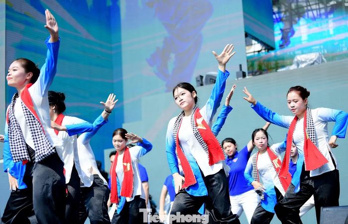 Tại Liên hoan, các nhóm đã mang đến nhiều thể loại, phong cách nhảy, như Hip-hop, Breaking, Popping, Locking, Waacking, Dancehall, K-pop dance, Contemporary, Jazz, Urban, Freestyle đến Cover dance, cùng nhiều hình thức kết hợp.