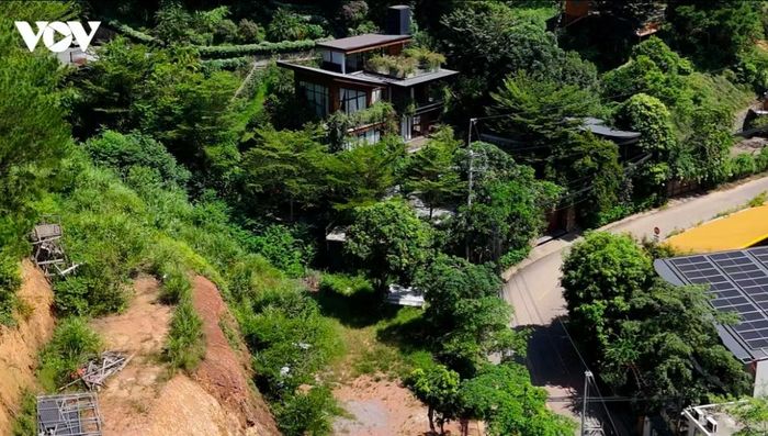 Đất rừng bị cải tạo san gạt lộ rõ.