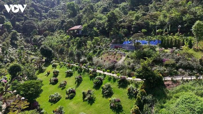 Bên cạnh những vấn đề liên quan đến xây dựng tại khu vực ven hồ, tình trạng tranh chấp đất đai cũng được người dân phản ánh. Theo đó, lô đất rừng tại khu vực D12, Đội 1, xóm Tân Minh, thôn Thái Vụ, xã Kim Anh được cho là có tranh chấp liên quan đến tổ hợp nghỉ dưỡng.