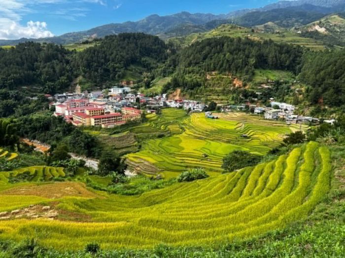 Toàn cảnh thung lũng lúa chín từ trên cao.