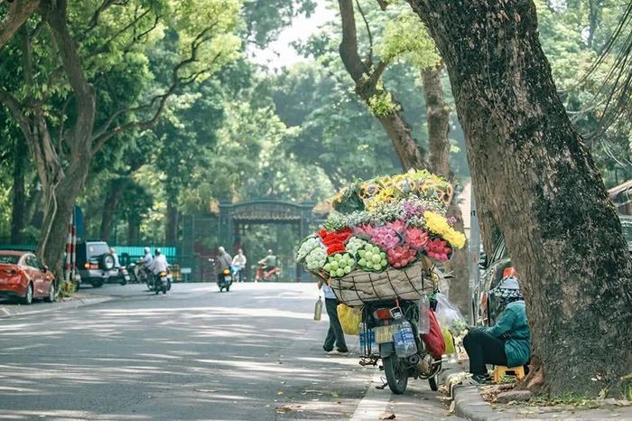 Ngày 11/10, Hà Nội nắng.