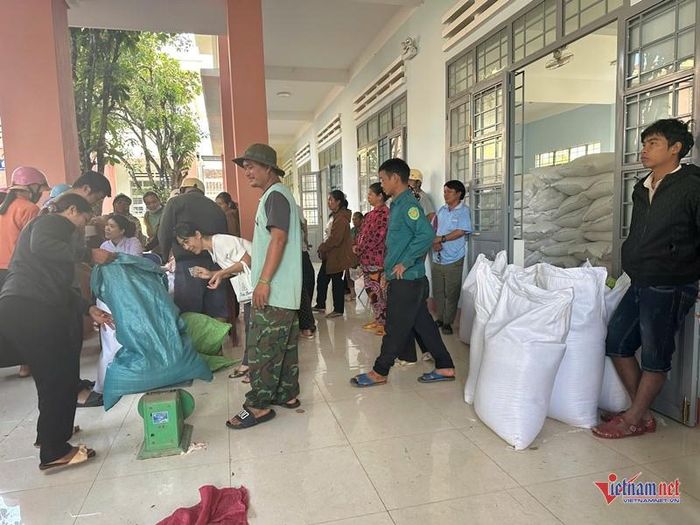 Nhà trường huy động nhân viên, bảo vệ tham gia phát gạo. Ảnh: CTV