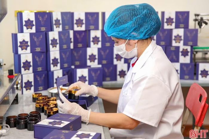 Công ty TNHH Sản xuất, thương mại, dịch vụ An Phong đầu tư máy móc, công nghệ chế biến các sản phẩm từ nhung hươu.