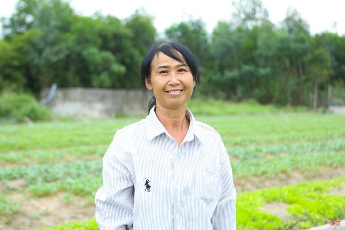 Hiện, mỗi ngày, bà Phan Thị Lộc (thôn Hồng Lĩnh, xã Can Lộc) thu hoạch xuất bán ra thị trường 3.000 - 5.000 cây rau giống các loại/ngày.