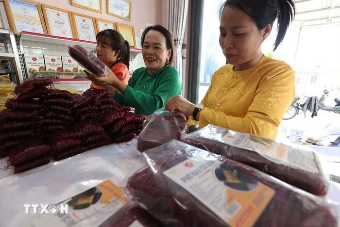 Đóng gói sản phẩm bún khô được sản xuất theo phương thức truyền thống, ở tổ liên kết làng nghề truyền thống bún An Phong, thôn An Phong, xã Phù Cát. (Ảnh: Vũ Sinh/TTXVN)