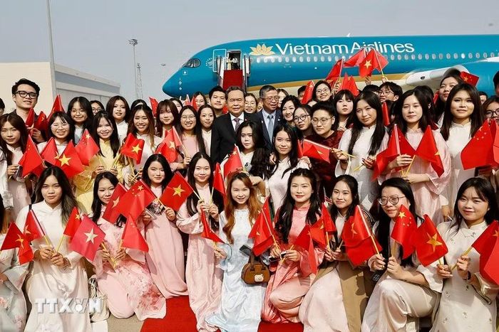 Đại sứ Phạm Thanh Bình cùng cán bộ, nhân viên Đại sứ quán Việt Nam và đại diện cộng đồng người Việt Nam tại Trung Quốc đón Chủ tịch Quốc hội Trần Thanh Mẫn tại Sân bay quốc tế Bắc Kinh. (Ảnh: Doãn Tấn/TTXVN)