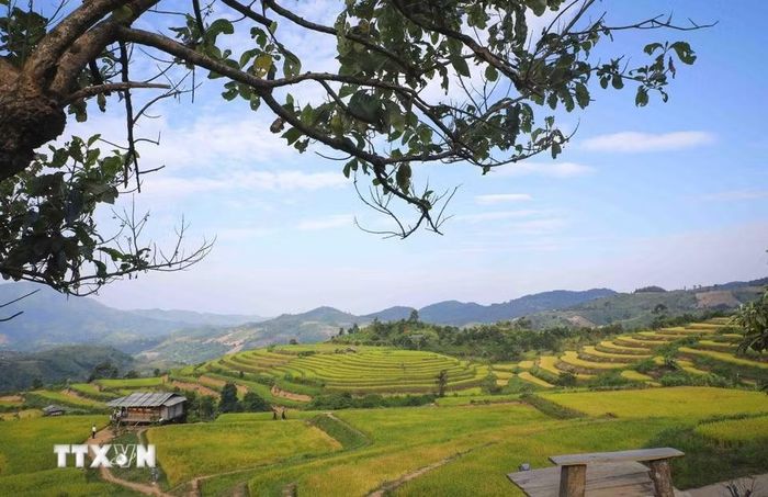 Khung cảnh ruộng bậc thang trở thành điểm dừng chân để du khách chụp ảnh, lưu giữ những kỷ niệm trong hành trình khám phá Pu Nhi. (Ảnh: Xuân Tư/TTXVN)