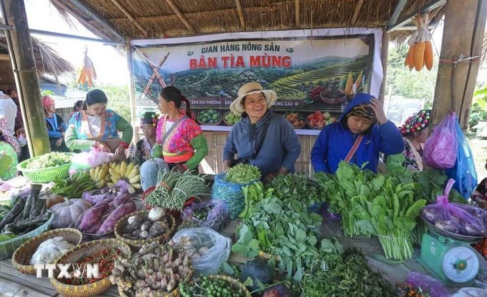 Các sản phẩm nông nghiệp được giới thiệu tới người dân và du khách, mở ra cơ hội kết nối quảng bá sản vật vùng cao với hoạt động du lịch. (Ảnh: Xuân Tư/TTXVN)
