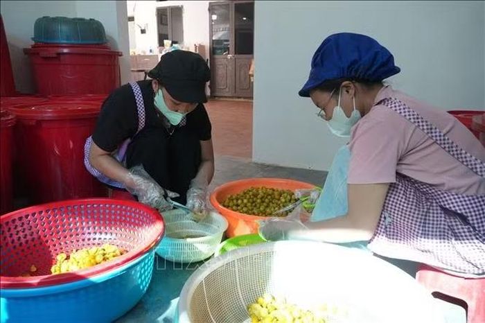 Sơ chế chanh rừng làm ô mai chanh.
