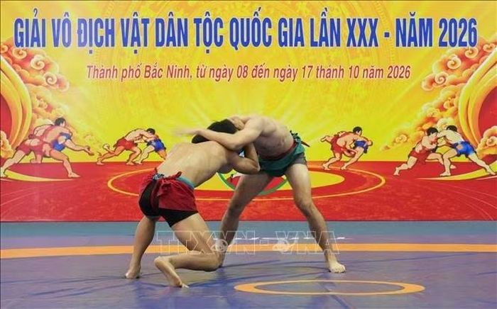 Các đô vật thi đấu hạng cân 60 kg.