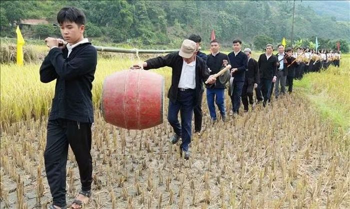 Đoàn rước quay về sau khi đã cắt lúa xong.