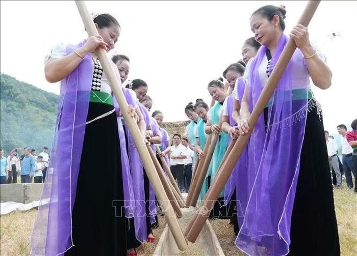 Phụ nữ Thái cùng nhau giã cốm tại lễ hội.