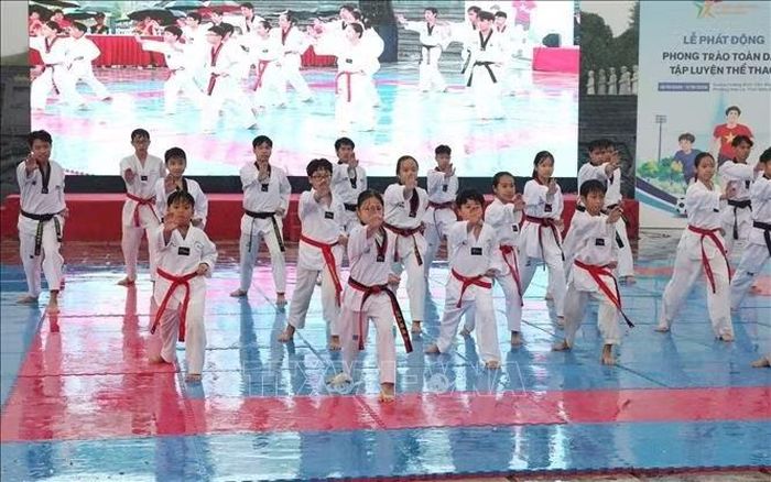 Biểu diễn võ thuật truyền cảm hứng tại sự kiện ở Ninh Bình. Ảnh: Đức Phương/TTXVN