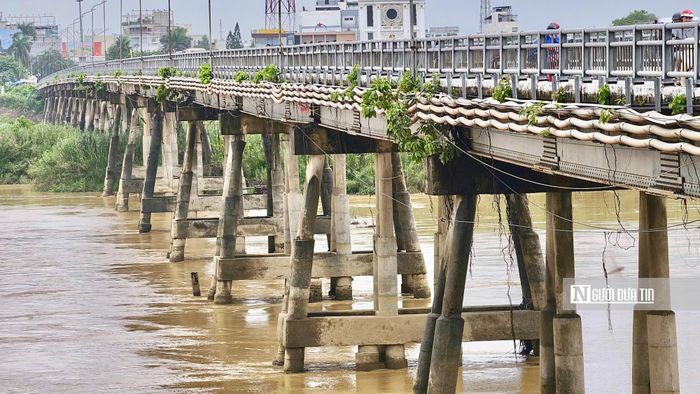 Công trình dài 640m, gồm 19 nhịp, mỗi nhịp dài 24m. Phần xe chạy rộng 7,5m, bố trí hai làn xe, có lề dành cho người đi bộ, lan can hai bên và hệ thống chiếu sáng. Cầu được thiết kế bằng hệ cọc thép chống gỉ, sử dụng cọc vừa làm trụ vừa chịu lực. Các dầm thép bản liên hợp cùng hệ liên kết ngang tạo nên kết cấu chịu lực của công trình.