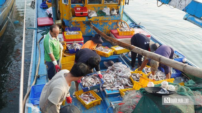Ngư dân đánh bắt cá trên biển.