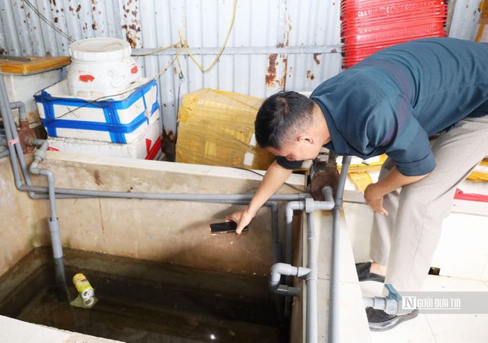 Nguyên nhân lây lan là do vẫn còn ao tù, nước đọng và các vật dụng chứa nước chưa được xử lý. Ảnh Nhật Thắng.